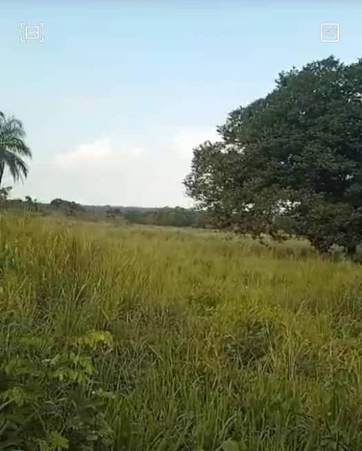 #450 - GRANJA / FINCA para Venta en Maracaibo - V