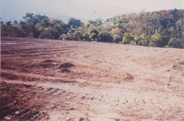 Terreno en Mérida