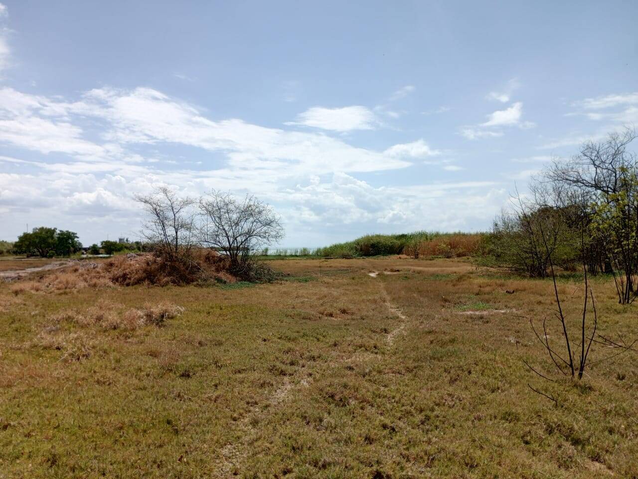 #3831 - TERRENO para Venta en San Francisco - V