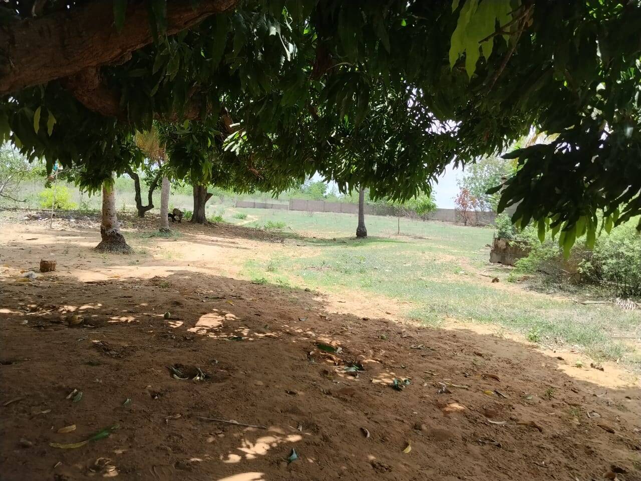 #3984 - TERRENO para Venta en Maracaibo - V