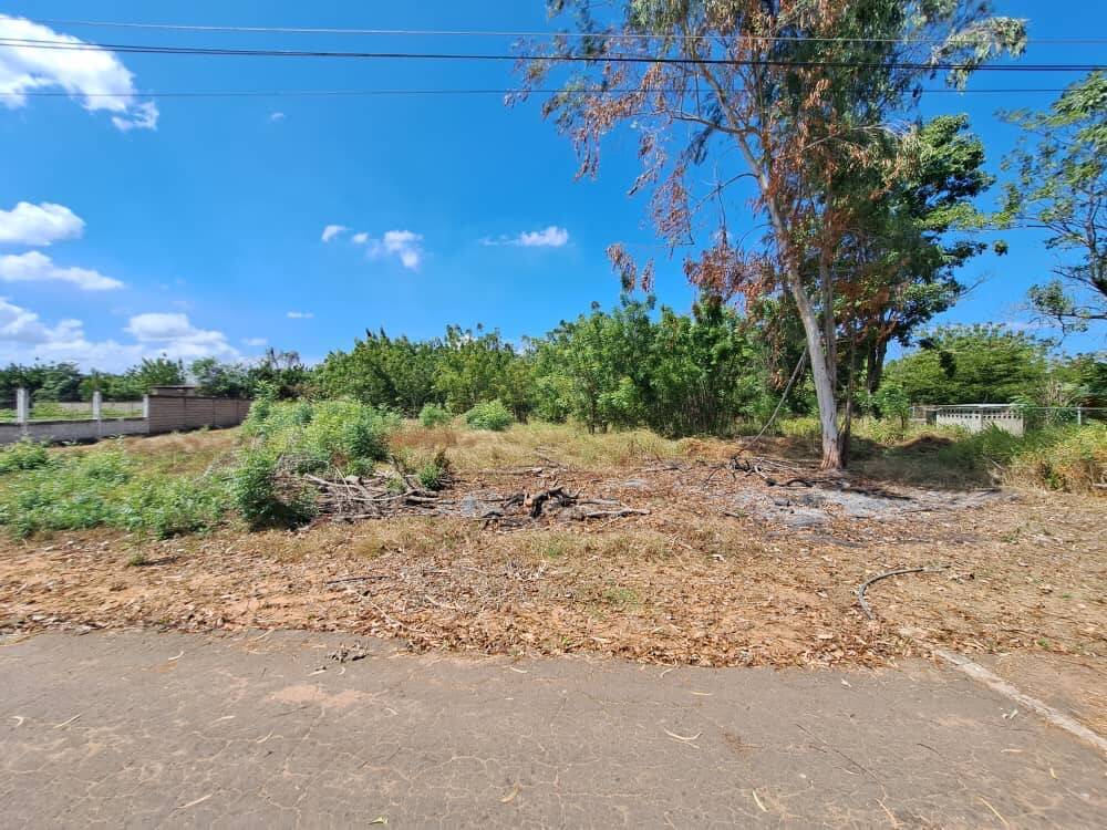 #4230 - TERRENO para Venta en San Francisco - V