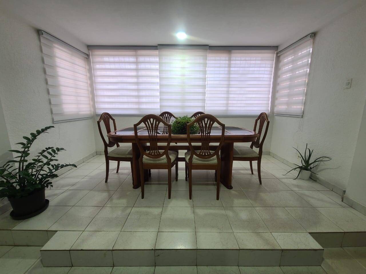 Comedor