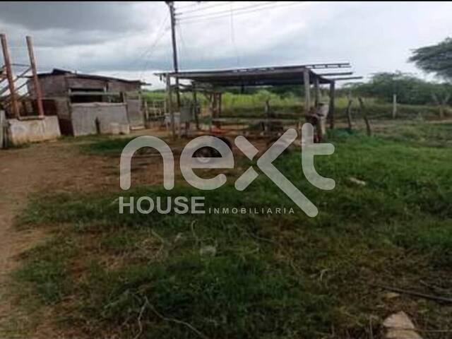 GRANJA / FINCA para Venta en Maracaibo - 4
