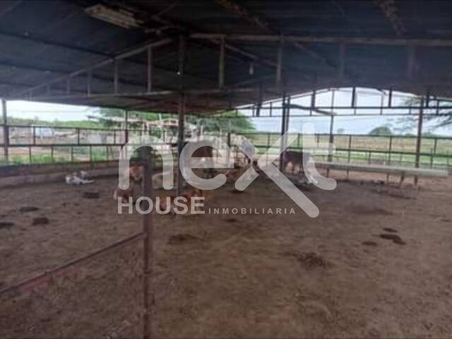 GRANJA / FINCA para Venta en Maracaibo - 5