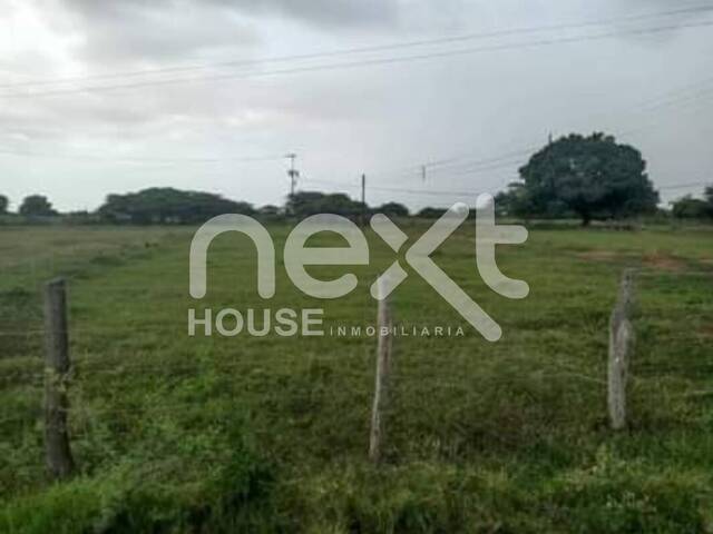 #295 - GRANJA / FINCA para Venta en Maracaibo - V