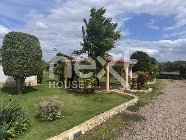 #2203 - GRANJA / FINCA para Venta en Falcón - I - 3