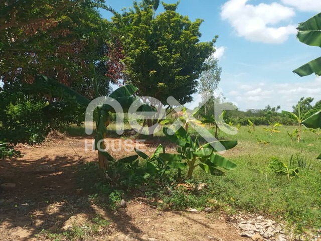 #2450 - GRANJA / FINCA para Venta en Maracaibo - V - 2