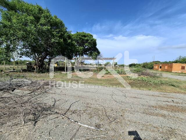 #2650 - TERRENO para Alquiler en Ciudad Ojeda - V - 1