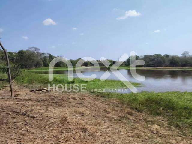 #3009 - GRANJA / FINCA para Venta en Santa Rita - V - 3