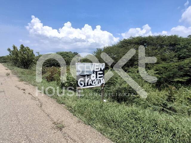#3009 - GRANJA / FINCA para Venta en Santa Rita - V - 2