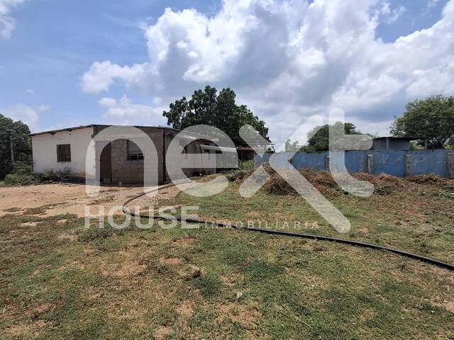 #3009 - GRANJA / FINCA para Venta en Santa Rita - V - 1