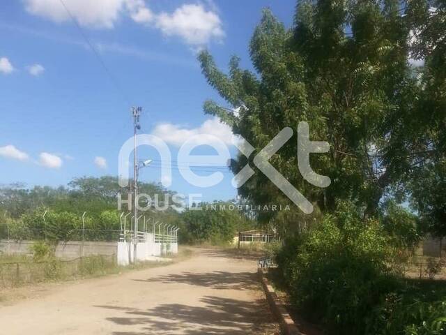 #3122 - TERRENO para Venta en San Francisco - V - 3