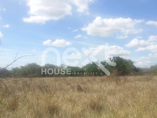 #3122 - TERRENO para Venta en San Francisco - V - 2