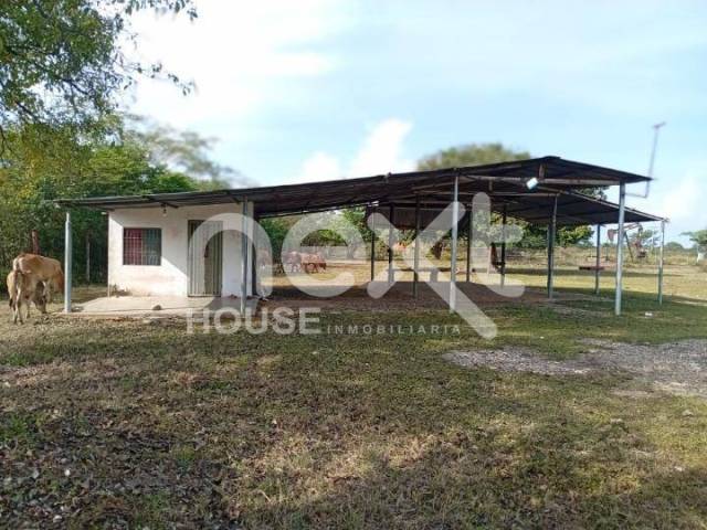 #3419 - GRANJA / FINCA para Venta en Bachaquero - V