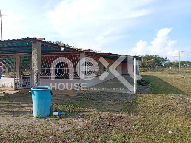 #3419 - GRANJA / FINCA para Venta en Bachaquero - V