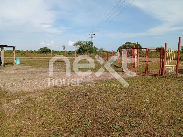 #3419 - GRANJA / FINCA para Venta en Bachaquero - V