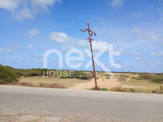 #3875 - TERRENO para Venta en Falcón - I