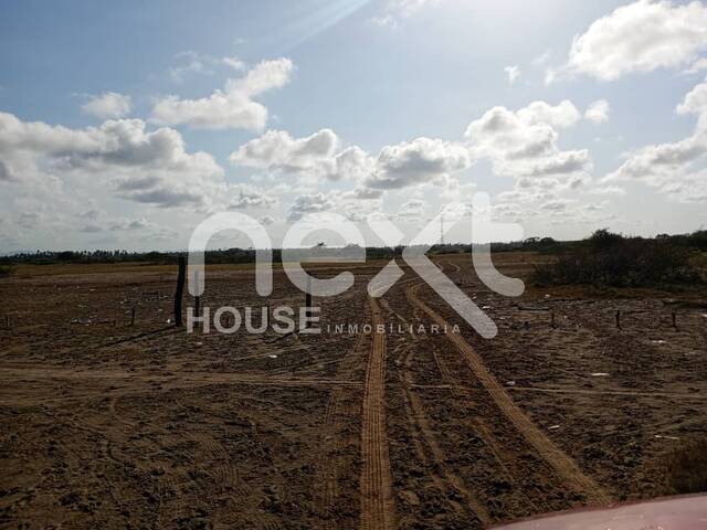 #3875 - TERRENO para Venta en Falcón - I
