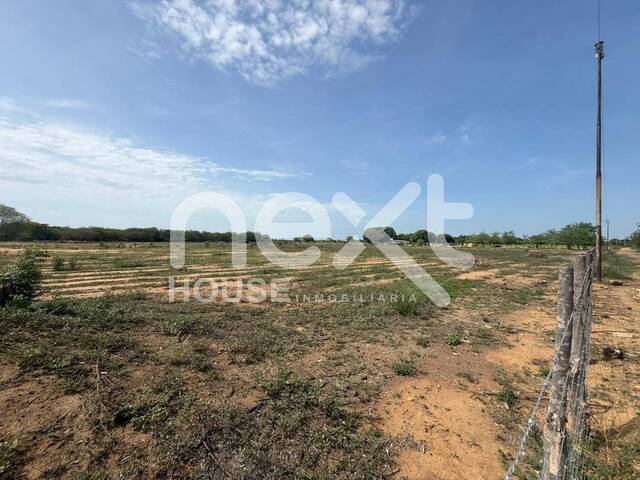 #3926 - GRANJA / FINCA para Venta en San Francisco - V