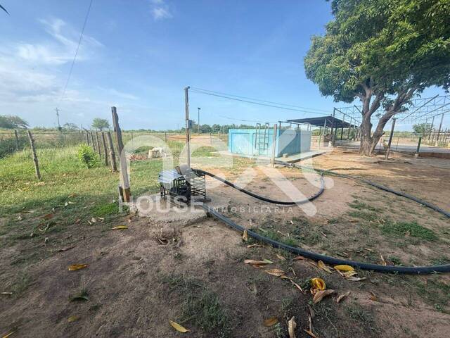 GRANJA / FINCA para Venta en San Francisco - 4