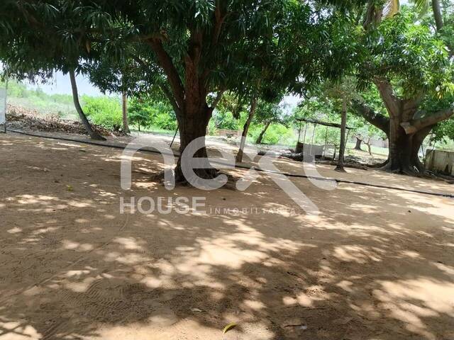 TERRENO para Venta en Maracaibo - 3