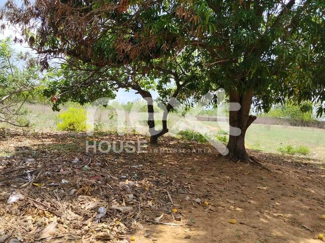 TERRENO para Venta en Maracaibo - 4
