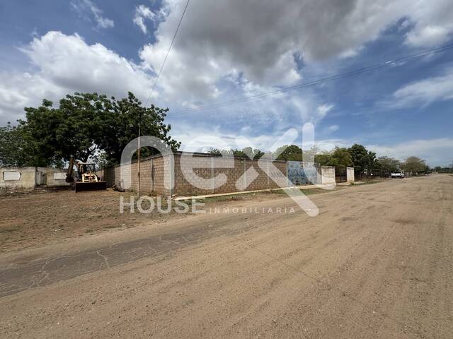 #4228 - TERRENO para Venta en San Francisco - V - 3