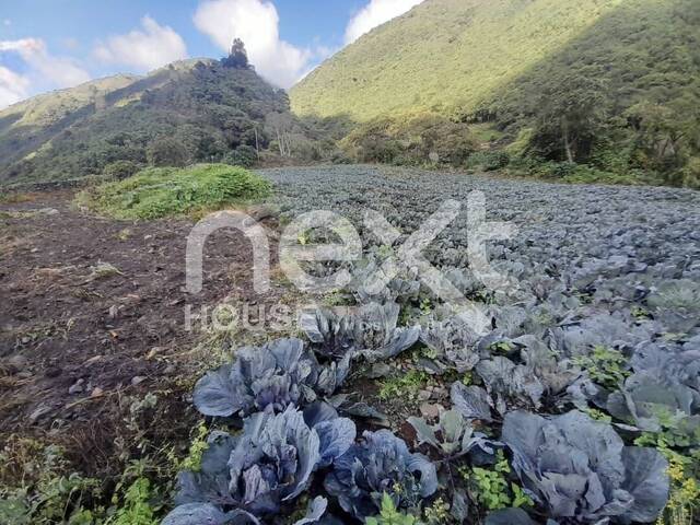 Venta en Vía la Lagunita - Trujillo