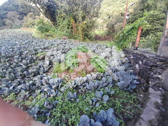 TERRENO para Venta en Trujillo - 4