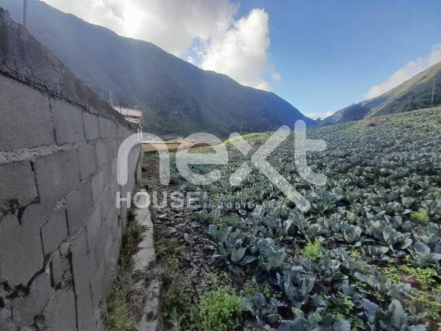 TERRENO para Venta en Trujillo - 5