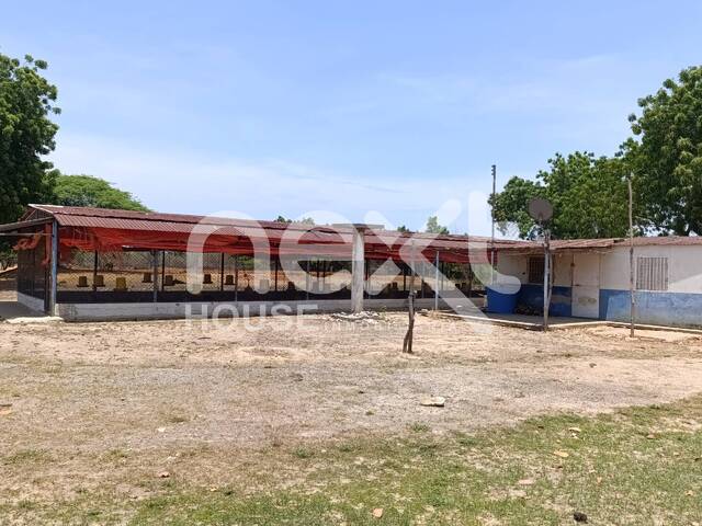 #4263 - GRANJA / FINCA para Venta en Maracaibo - V