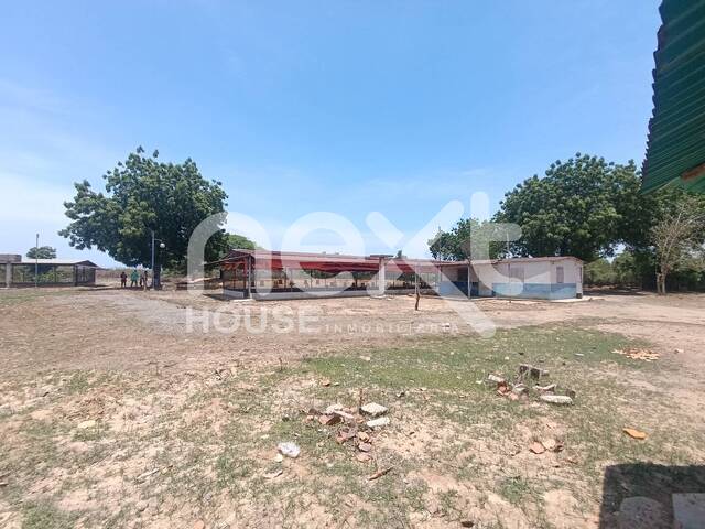 #4263 - GRANJA / FINCA para Venta en Maracaibo - V