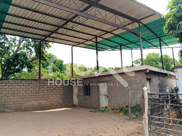 TERRENO para Venta en Maracaibo - 3