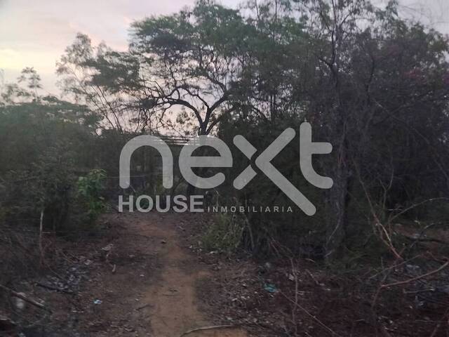 TERRENO para Venta en Maracaibo - 2