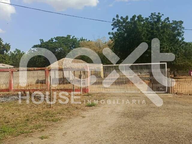 #4974 - TERRENO para Venta en San Francisco - V - 1