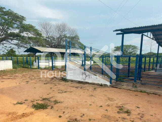 #5051 - GRANJA / FINCA para Venta en San Francisco - V - 3